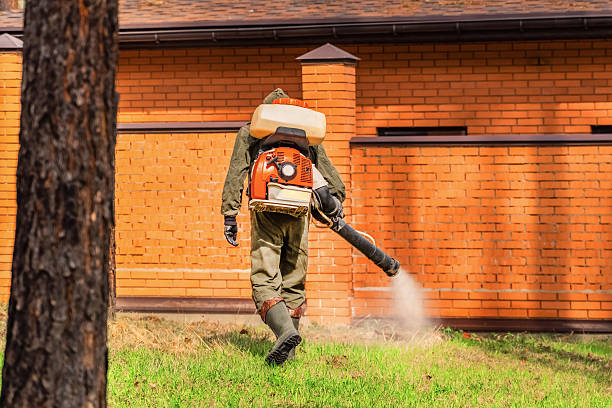Trusted Bed Bug Control service in Keowee Key, SC - Nex Pest Control
